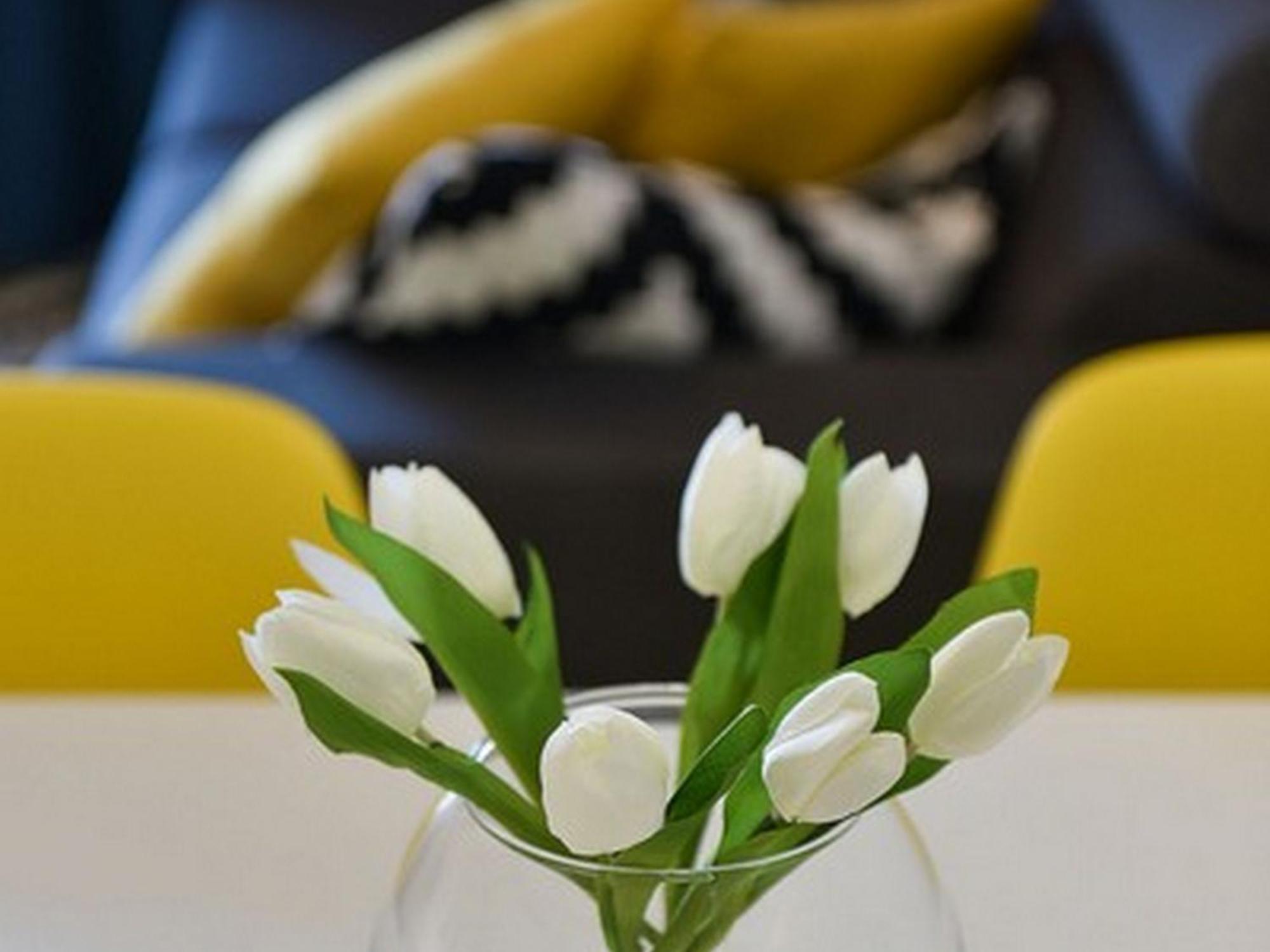 Mediterraneo Garden Apartments Petrcane Room photo